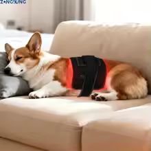 Nova Red Light Therapy Belt