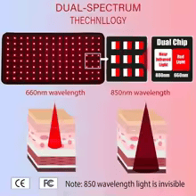 Nova Red Light Therapy Belt