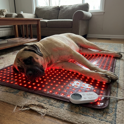 Nova Red Light Therapy Mat
