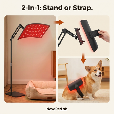 Nova Red Light Therapy Lamp