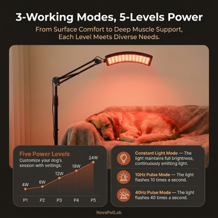 Nova Red Light Therapy Lamp