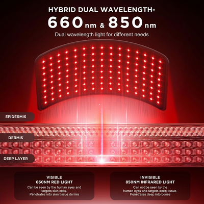 Nova Red Light Therapy Lamp