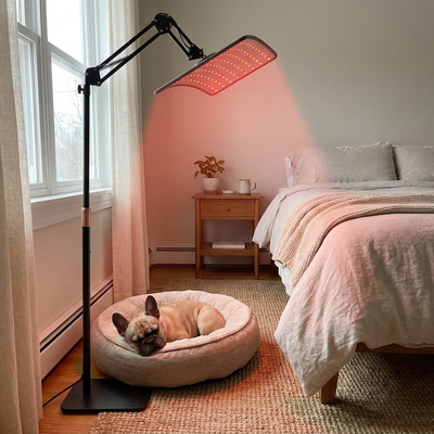 Nova Red Light Therapy Lamp