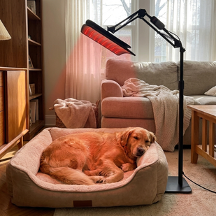 Fits However Your Dog Rests